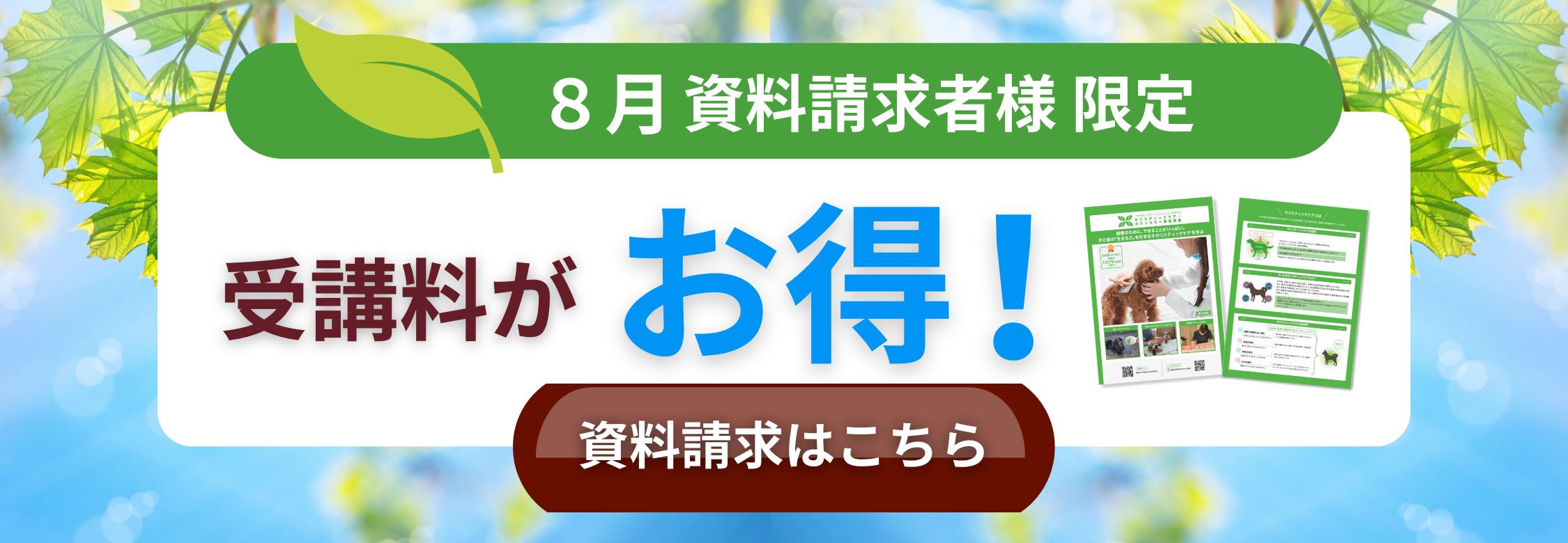 今だけ割引キャンペーン