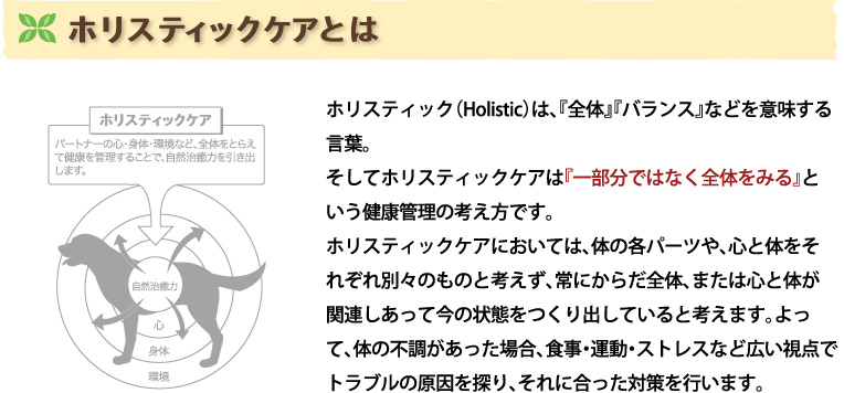 ホリスティックケアとは