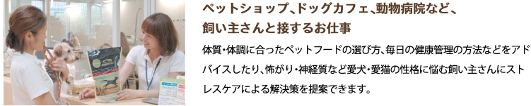 ペットショップ、ドッグカフェ、動物病院など、飼い主さんと接するお仕事