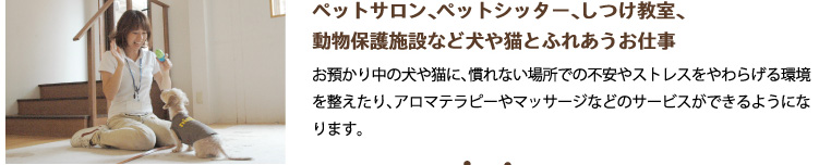 ペットサロン、ペットシッター、しつけ教室、動物保護施設など犬や猫とふれあうお仕事