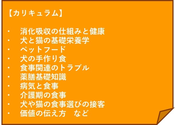 動物に関わる仕事がしたい 学生さんにおすすめの２資格 ペットフーディスト養成講座 仕事に活きる犬猫の食事の専門家資格